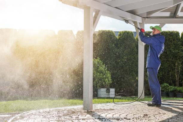 Best Spring Cleaning  in Orlovista, FL